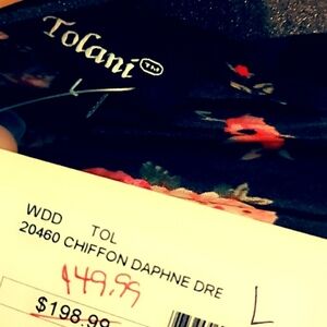 Tolani Black Floral Chiffon Dress